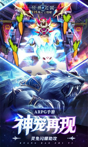 狂暴之翼正版首发0.05折图片4