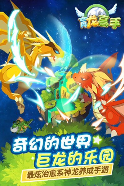 育龙高手图片5
