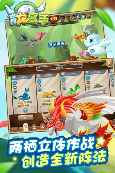 育龙高手图片1