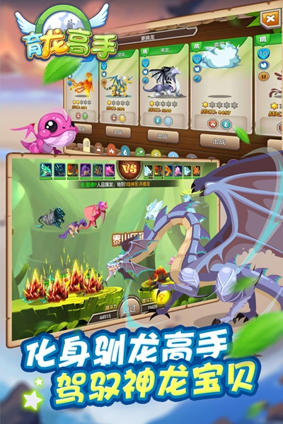 育龙高手图片4