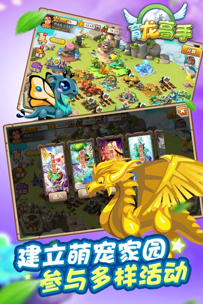 育龙高手图片3