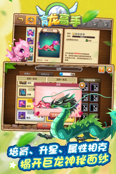 育龙高手图片2