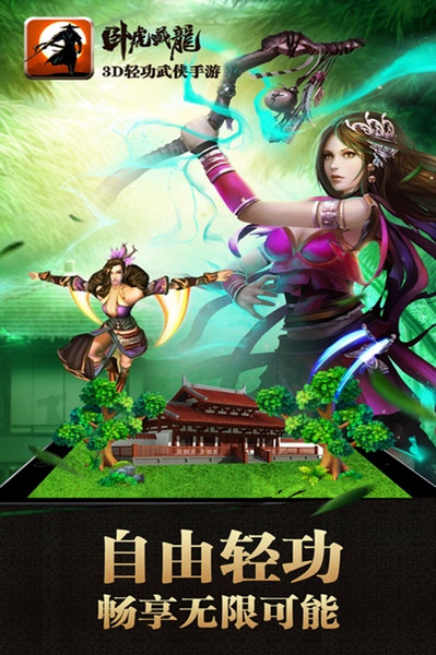 卧虎藏龙图片4