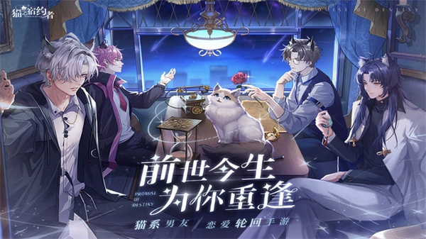 猫之宿约者图片1