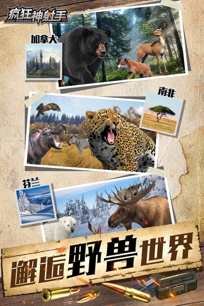 疯狂神射手图片2