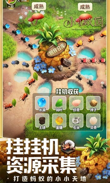 小小蚁国极速发育版图片2